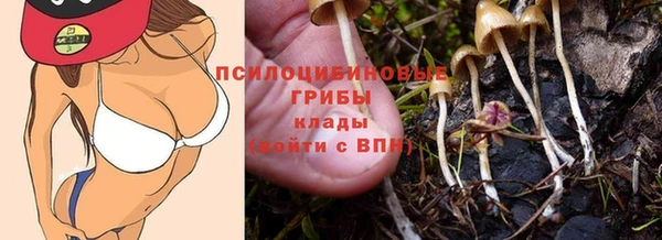 кристаллы Бородино