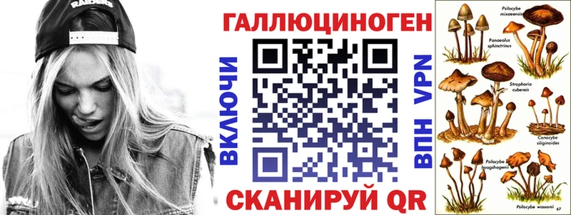 купить наркоту  Уссурийск  Галлюциногенные грибы Cubensis 